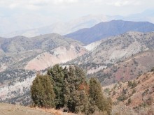 А Чимганские горы царят вдалеке и безумно прекрасны собою