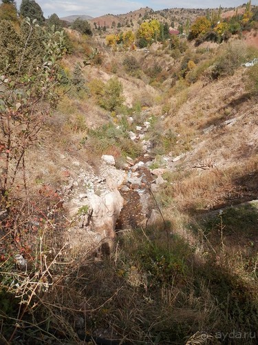 А Чимганские горы царят вдалеке и безумно прекрасны собою