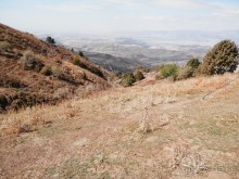А Чимганские горы царят вдалеке и безумно прекрасны собою