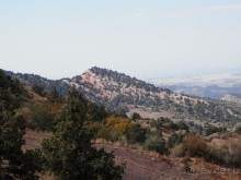 А Чимганские горы царят вдалеке и безумно прекрасны собою