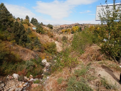 А Чимганские горы царят вдалеке и безумно прекрасны собою