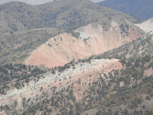 А Чимганские горы царят вдалеке и безумно прекрасны собою