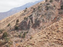 А Чимганские горы царят вдалеке и безумно прекрасны собою