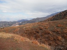 А Чимганские горы царят вдалеке и безумно прекрасны собою