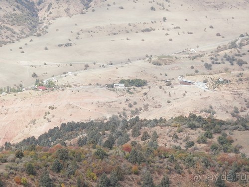 А Чимганские горы царят вдалеке и безумно прекрасны собою