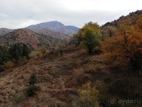 А Чимганские горы царят вдалеке и безумно прекрасны собою
