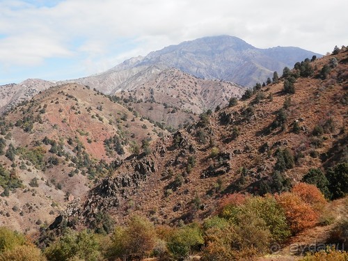 А Чимганские горы царят вдалеке и безумно прекрасны собою