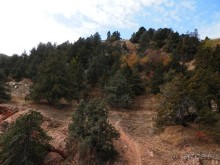 А Чимганские горы царят вдалеке и безумно прекрасны собою