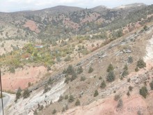 А Чимганские горы царят вдалеке и безумно прекрасны собою