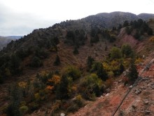 А Чимганские горы царят вдалеке и безумно прекрасны собою