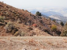 А Чимганские горы царят вдалеке и безумно прекрасны собою