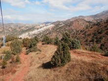 А Чимганские горы царят вдалеке и безумно прекрасны собою