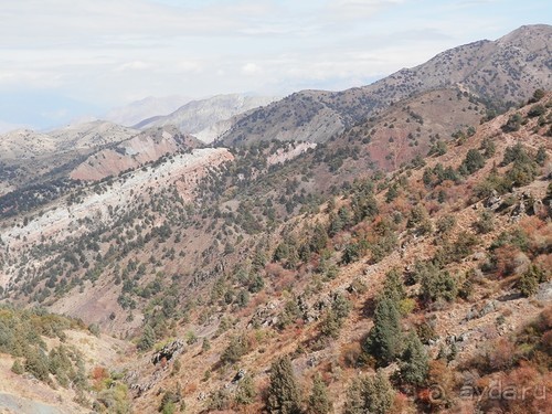 А Чимганские горы царят вдалеке и безумно прекрасны собою