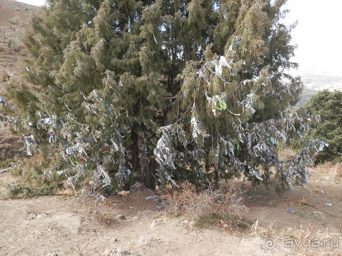 А Чимганские горы царят вдалеке и безумно прекрасны собою