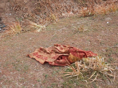 А Чимганские горы царят вдалеке и безумно прекрасны собою