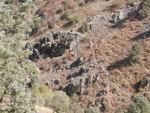 А Чимганские горы царят вдалеке и безумно прекрасны собою