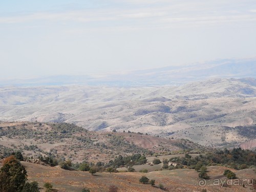 А Чимганские горы царят вдалеке и безумно прекрасны собою