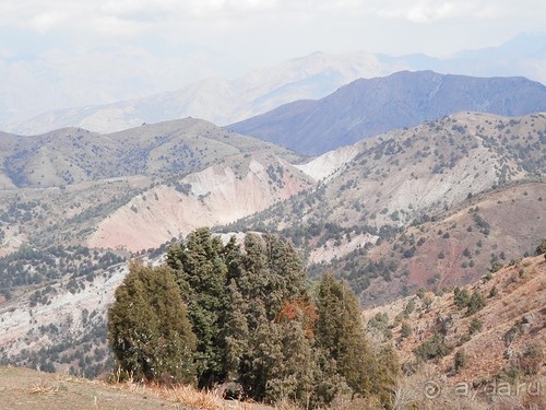А Чимганские горы царят вдалеке и безумно прекрасны собою
