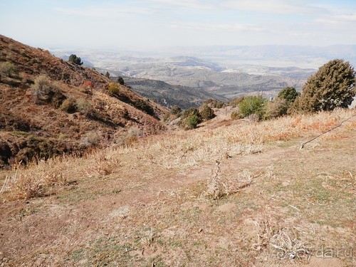 А Чимганские горы царят вдалеке и безумно прекрасны собою