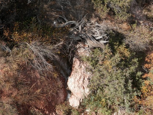 А Чимганские горы царят вдалеке и безумно прекрасны собою