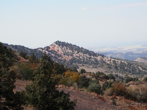 А Чимганские горы царят вдалеке и безумно прекрасны собою