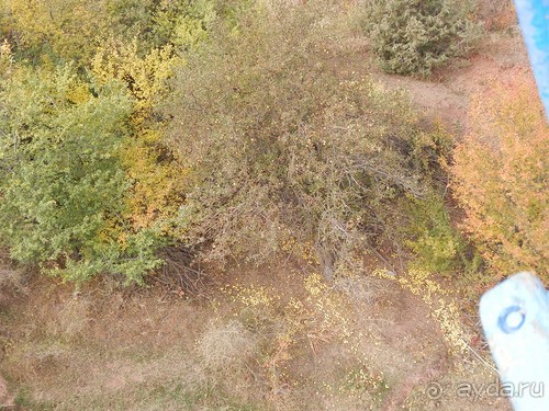 А Чимганские горы царят вдалеке и безумно прекрасны собою