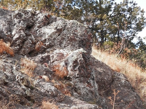 А Чимганские горы царят вдалеке и безумно прекрасны собою