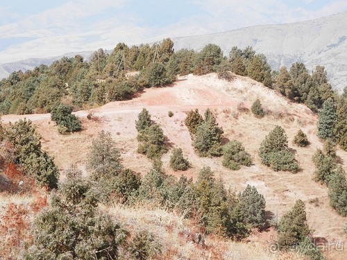 А Чимганские горы царят вдалеке и безумно прекрасны собою