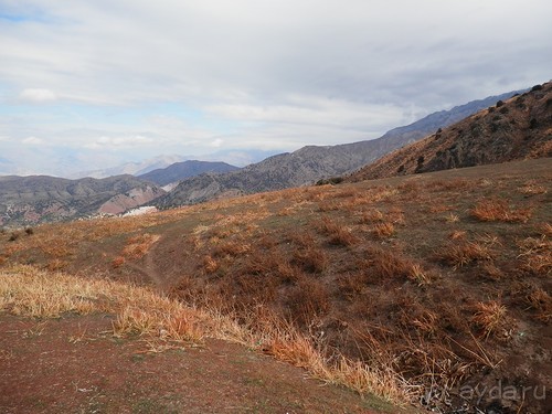 А Чимганские горы царят вдалеке и безумно прекрасны собою