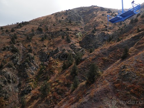 А Чимганские горы царят вдалеке и безумно прекрасны собою