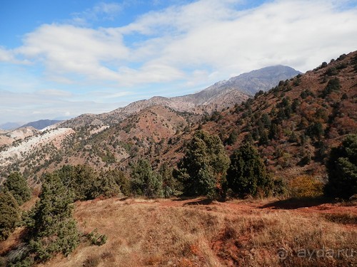 А Чимганские горы царят вдалеке и безумно прекрасны собою