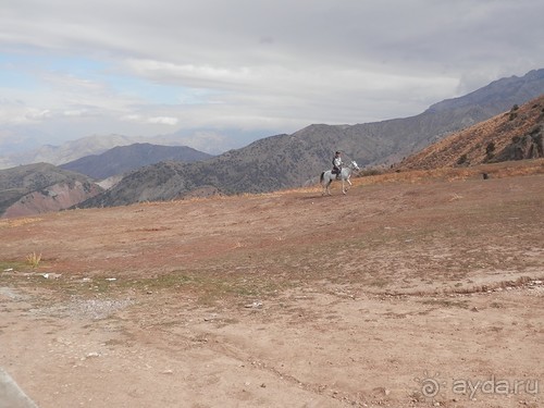 А Чимганские горы царят вдалеке и безумно прекрасны собою