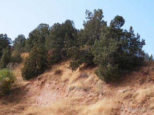 А Чимганские горы царят вдалеке и безумно прекрасны собою