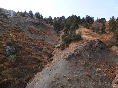 А Чимганские горы царят вдалеке и безумно прекрасны собою