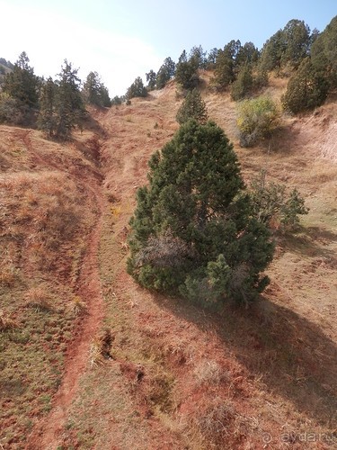 А Чимганские горы царят вдалеке и безумно прекрасны собою