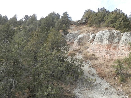 А Чимганские горы царят вдалеке и безумно прекрасны собою