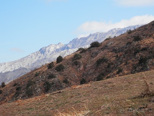 А Чимганские горы царят вдалеке и безумно прекрасны собою