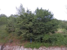 Позитано - Амальфи - Равелло