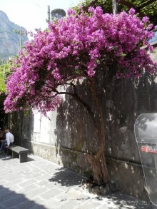 Позитано - Амальфи - Равелло