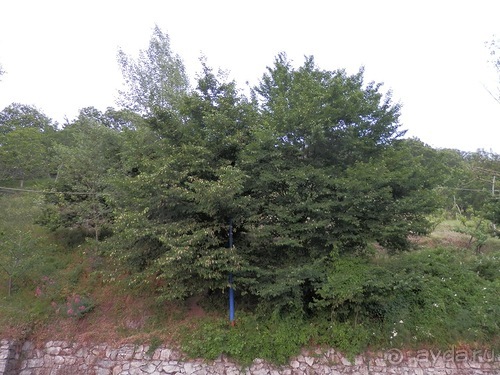 Позитано - Амальфи - Равелло