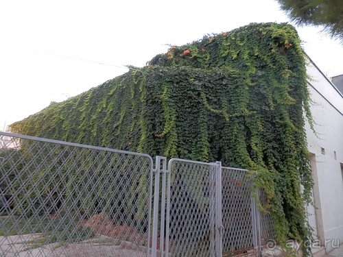 Полиньяно и еще раз Монополи