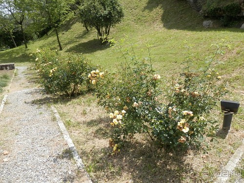 Бергамо - замок San Vigilio и холмы за городом