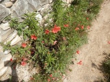 Бергамо - замок San Vigilio и холмы за городом