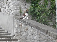 Бергамо - замок San Vigilio и холмы за городом