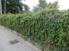 Бергамо - замок San Vigilio и холмы за городом