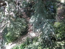 Бергамо - замок San Vigilio и холмы за городом