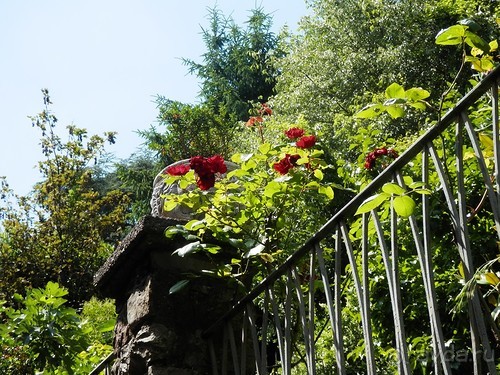 Бергамо - замок San Vigilio и холмы за городом