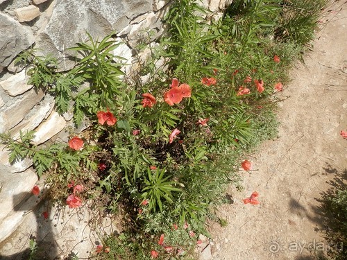 Бергамо - замок San Vigilio и холмы за городом