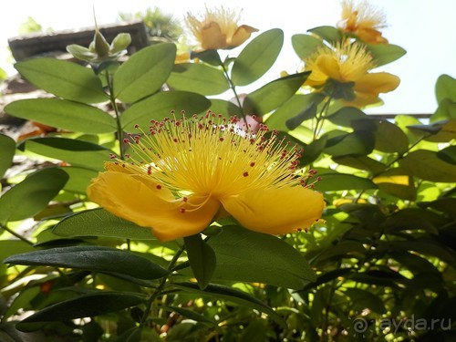 Бергамо - замок San Vigilio и холмы за городом