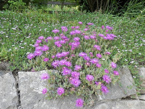 Бергамо - замок San Vigilio и холмы за городом